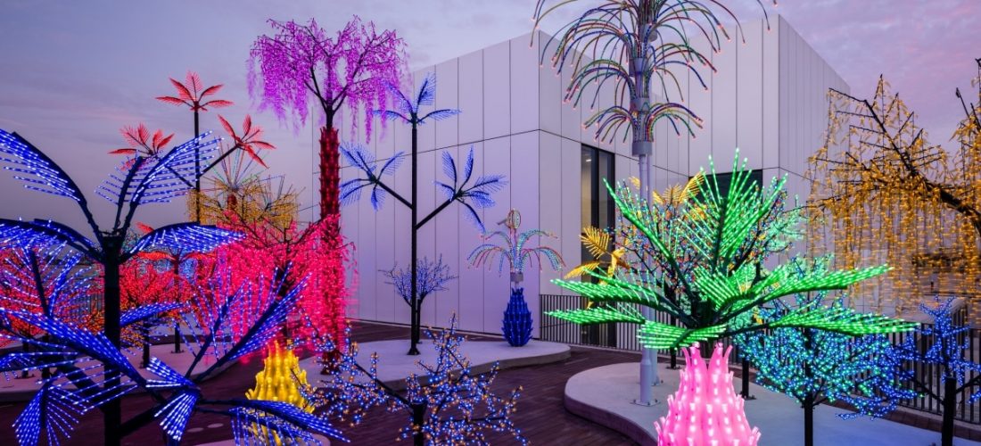 حياة معاكسة: حديقة نباتية مضيئة مخصصة للأشجار