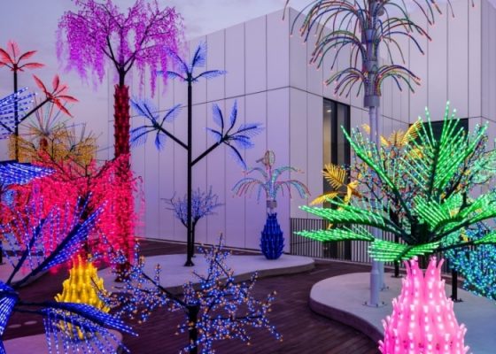 Contrary Life by Alia Farid and Aseel AlYaqoub