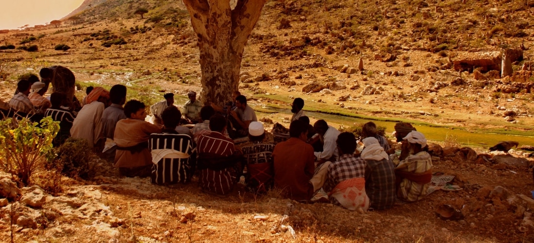 Library Circles: Nathalie Peutz