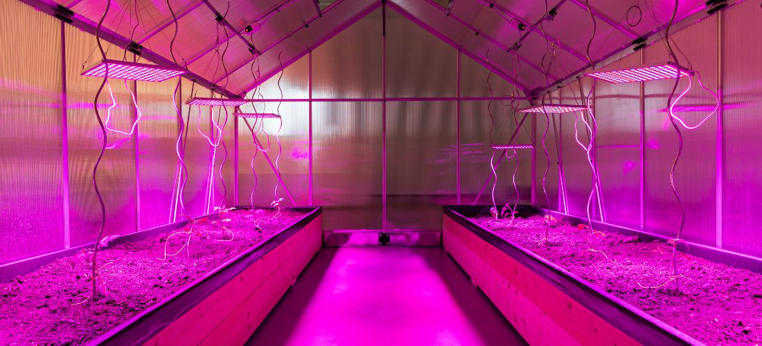 سارة أبو عبدالله في حوار مع عبدالله المطيري