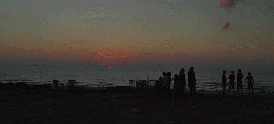 Film programme –            January – February