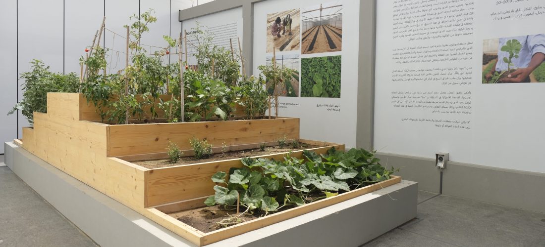 Artist’s Garden by Asunción Molinos Gordo