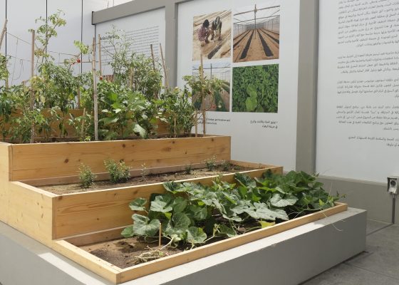 Artist’s Garden by Asunción Molinos Gordo