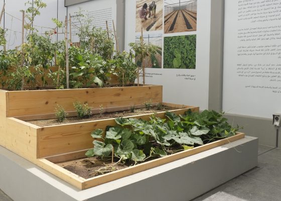 حديقة الفنّان: آسونثيون مولينوس جوردو