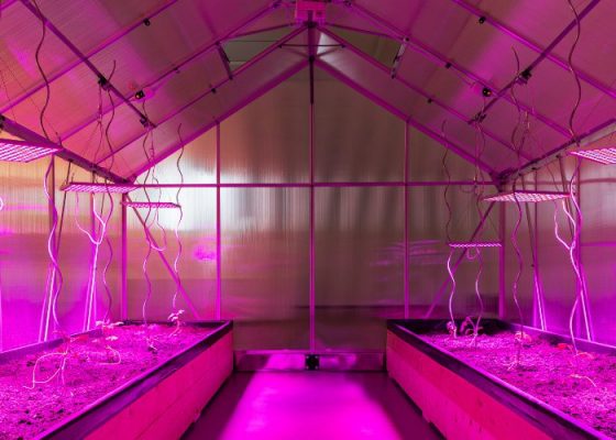 Sarah Abu Abdallah in conversation with Abdullah Al Mutairi