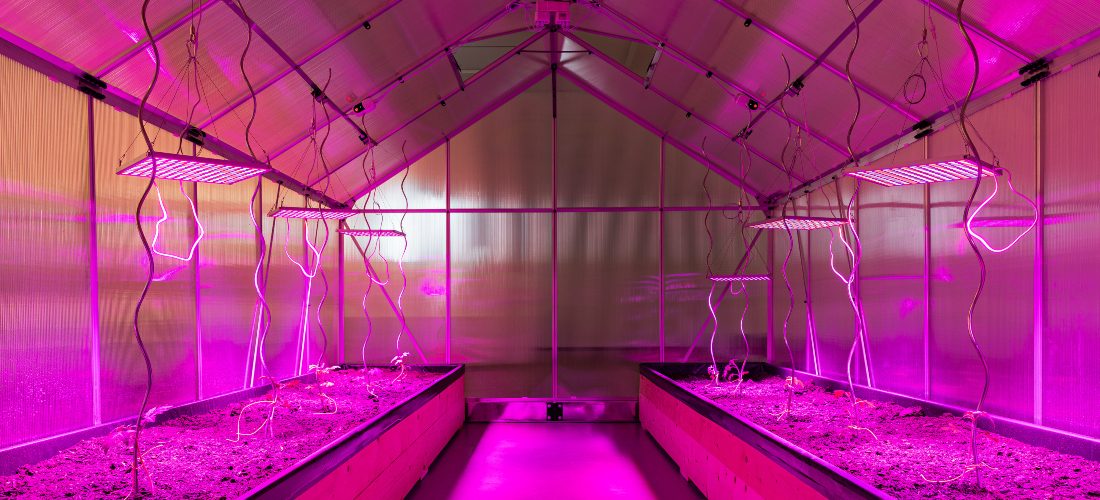 Sarah Abu Abdallah in conversation with Abdullah Al Mutairi