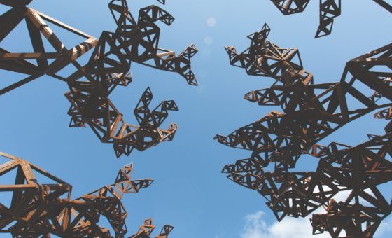 كونراد شوكروس في الحديقة