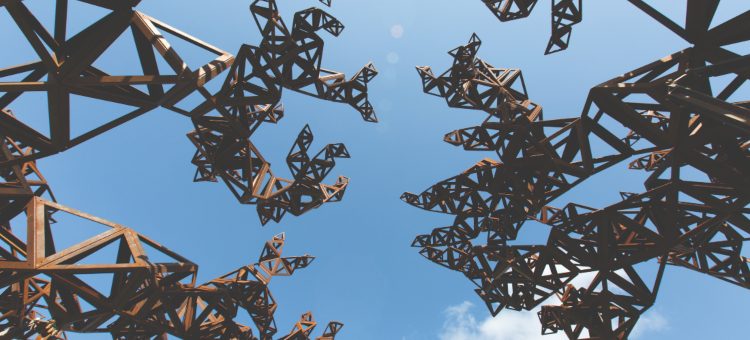 كونراد شوكروس في الحديقة