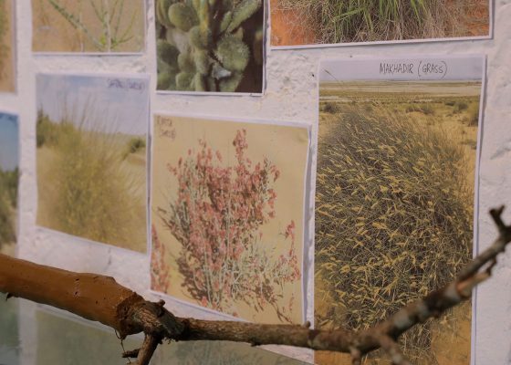 Artist’s Garden by Sunoj D and Namrata Neog