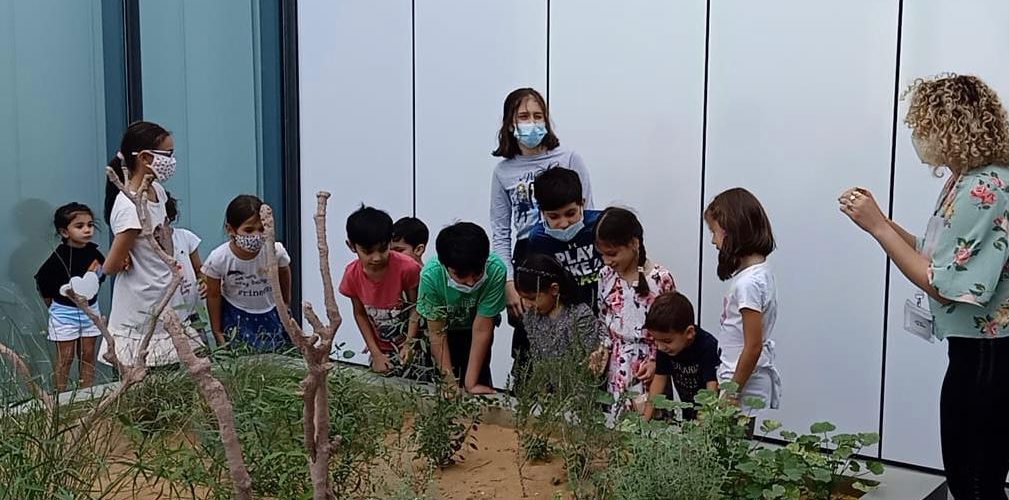 Children’s tour and workshop: Artist’s Garden by Sunoj D and Namrata Neog