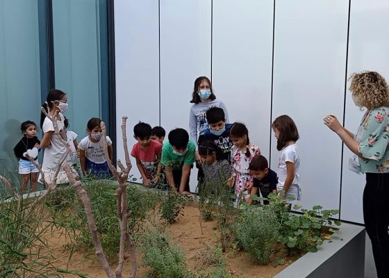 Children’s tour and workshop: Artist’s Garden by Sunoj D and Namrata Neog