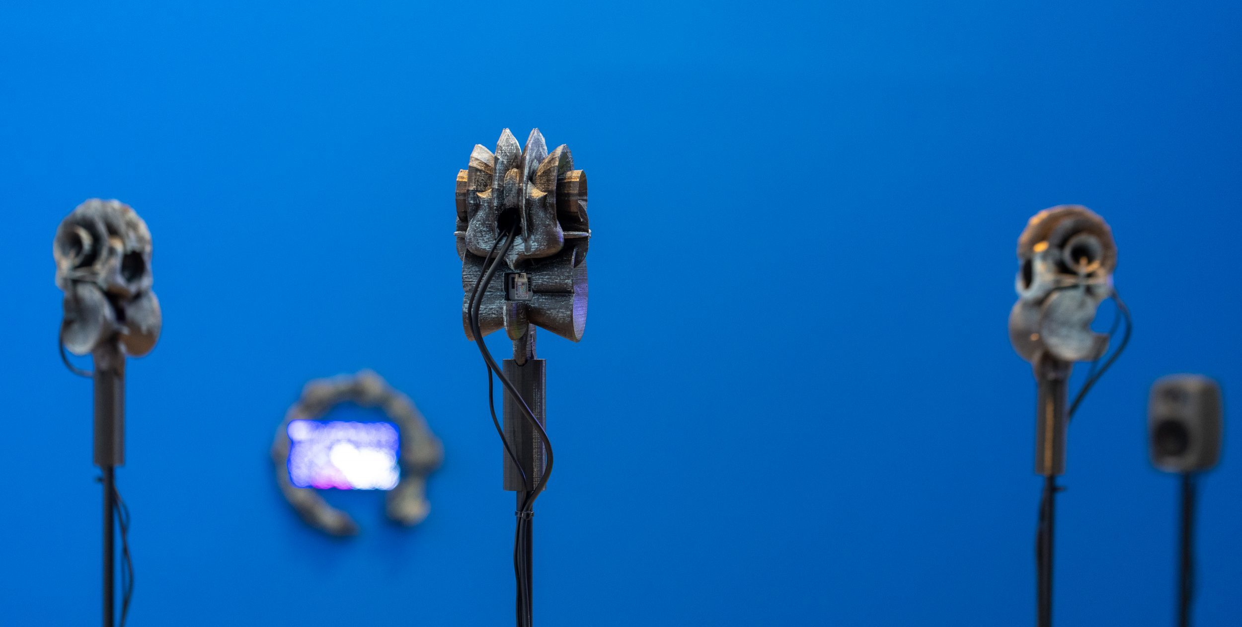 Artist’s Rooms: Samson Young