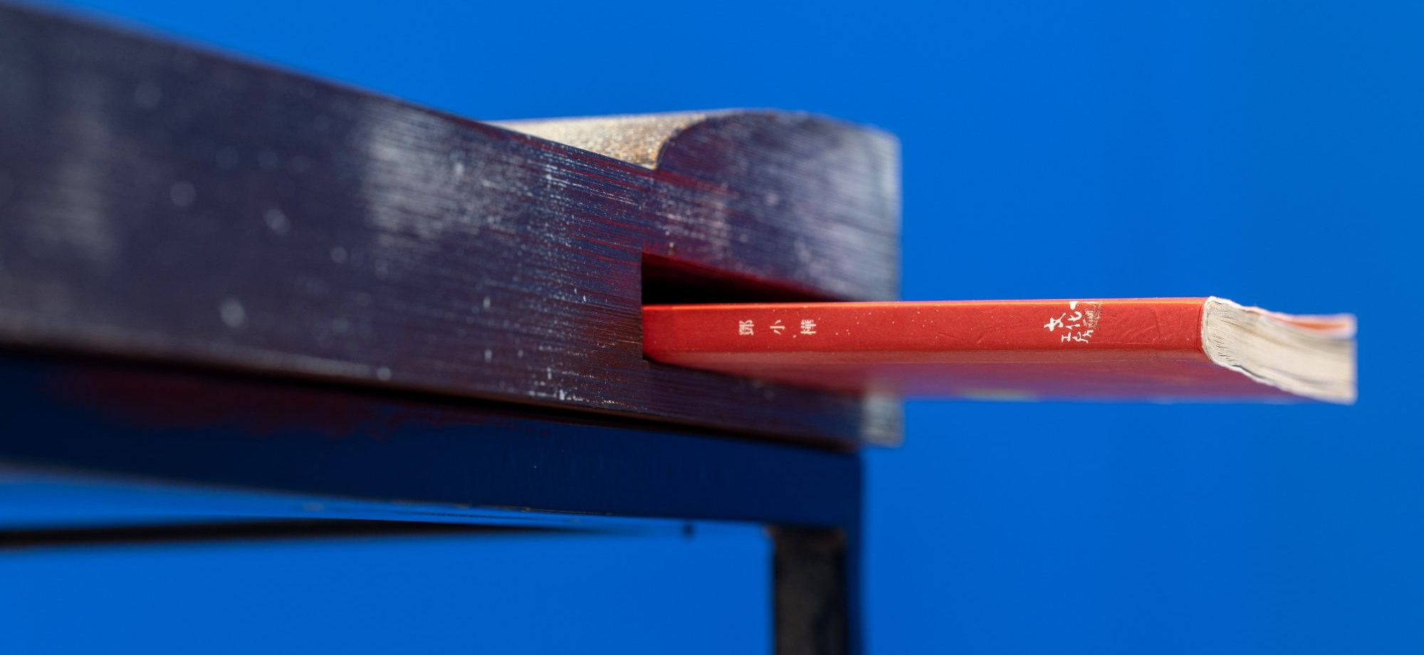 Artist’s Rooms: Samson Young