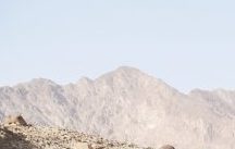 حول العرض: ممارسات في العمارة والبحث