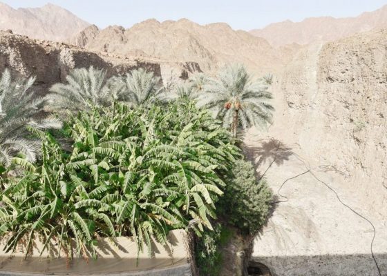 On Display: Architecture and Research Practices