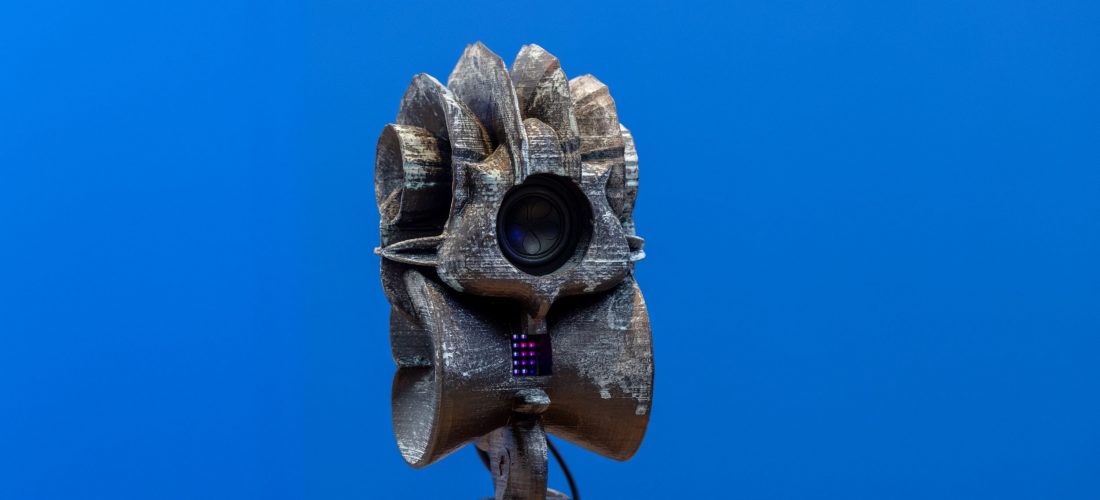 Artist’s Rooms: Samson Young