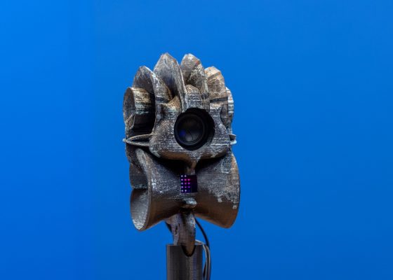 Artist’s Rooms: Samson Young