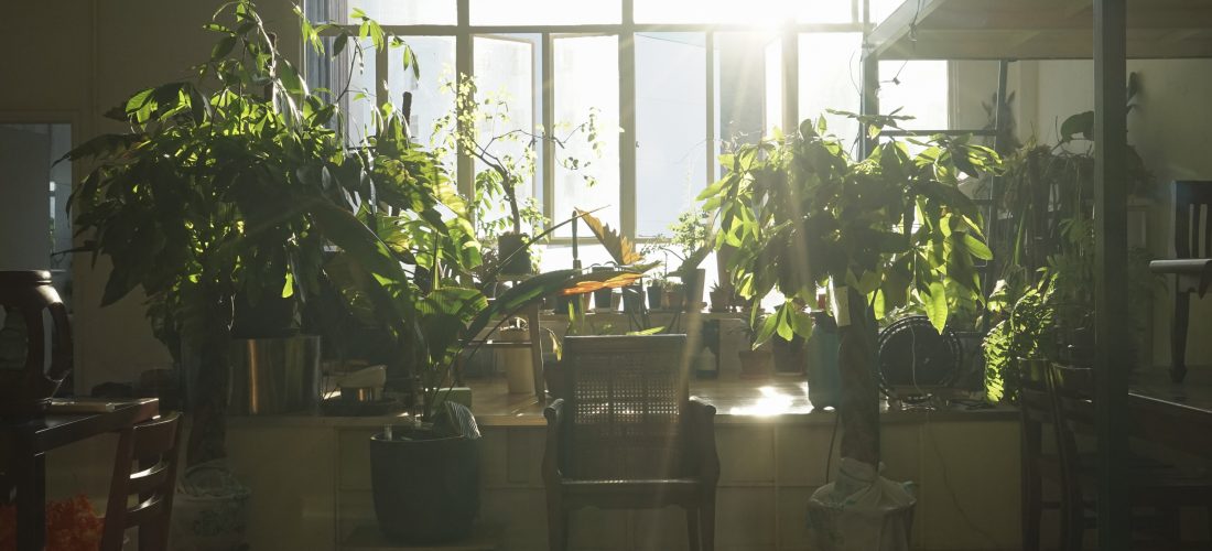 Park Projects: Nahla Tabbaa & Trevor Yeung