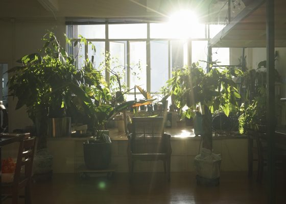 Park Projects: Nahla Tabbaa & Trevor Yeung