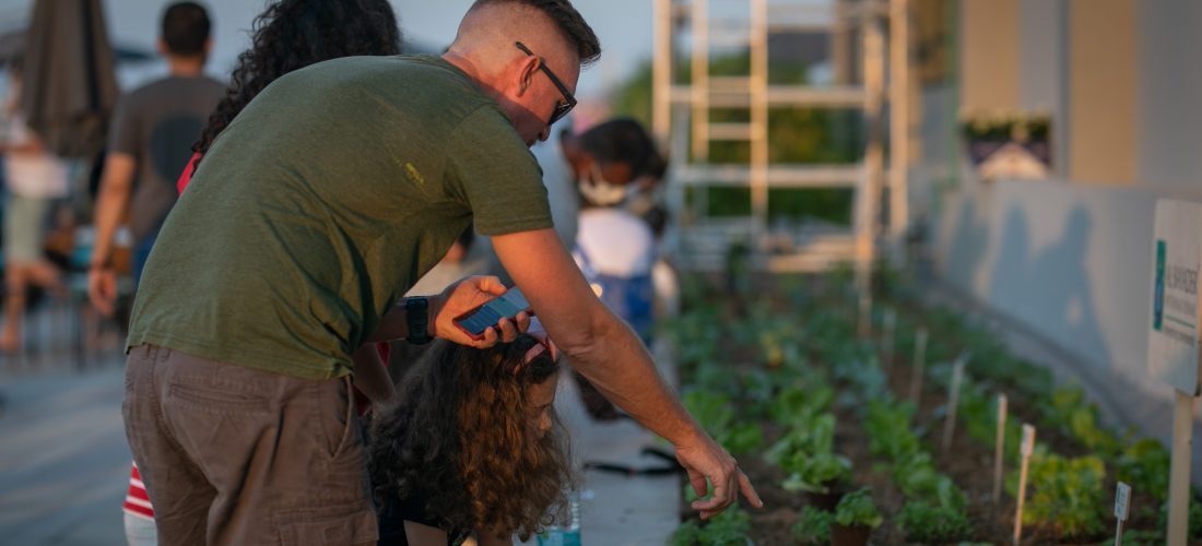 Jaddaf Community Garden | January Harvest day