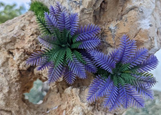 Walk & Talk: Trevor Yeung