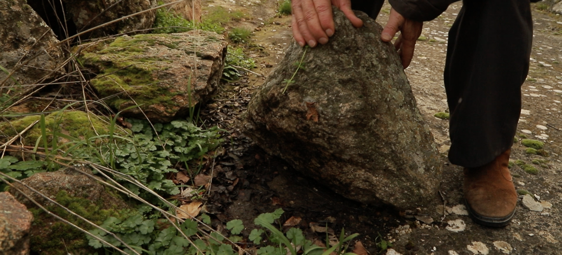 فيلم: “أفكار” لآسونثيون مولينوس جوردو