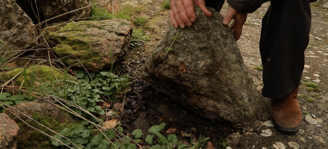 Film: Barruntaremos by Asunción Molinos Gordo