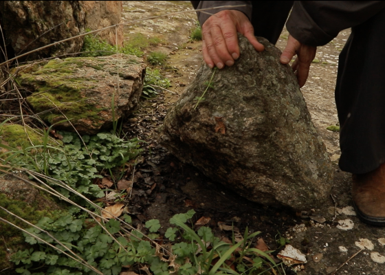 Film: Barruntaremos by Asunción Molinos Gordo
