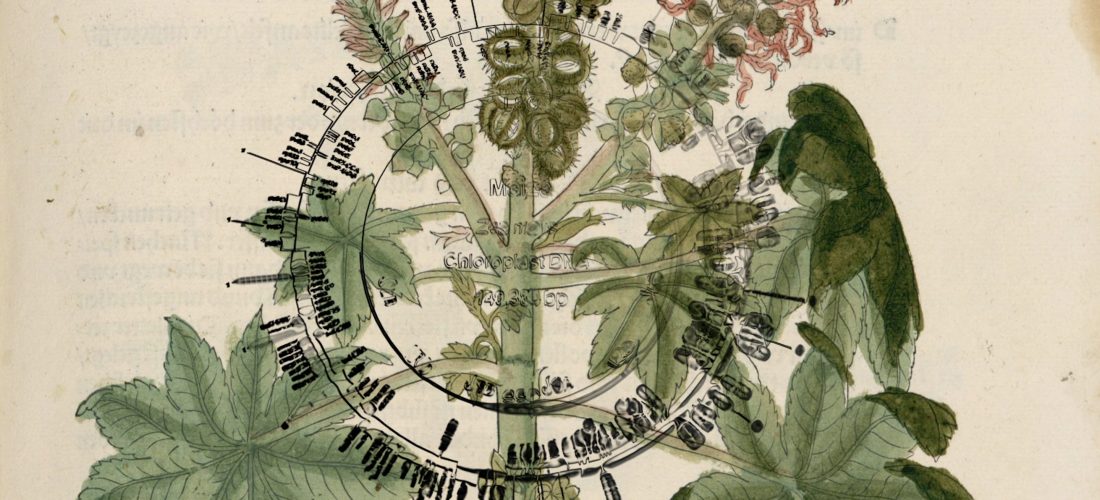 فيلم: لينيوس والبذور المدمرة لبيدرو نيفيس