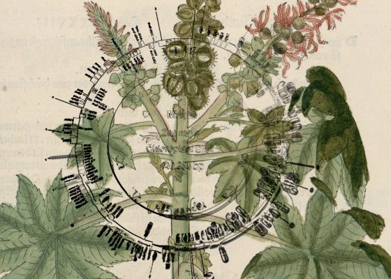 Film: Linnaeus and the Terminator Seed by Pedro Neves Marques