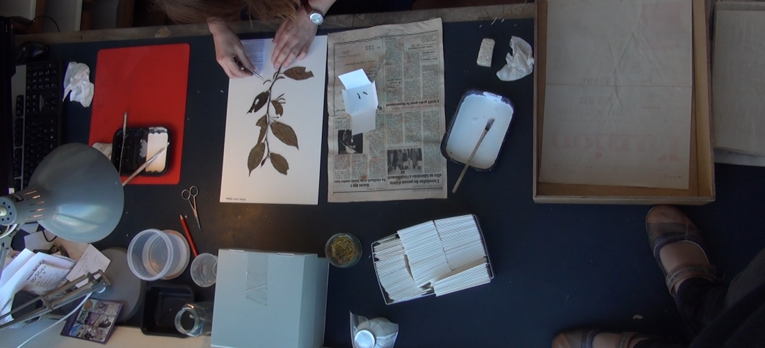 Film: A Desire for Organic Order by Lyndsay Mann