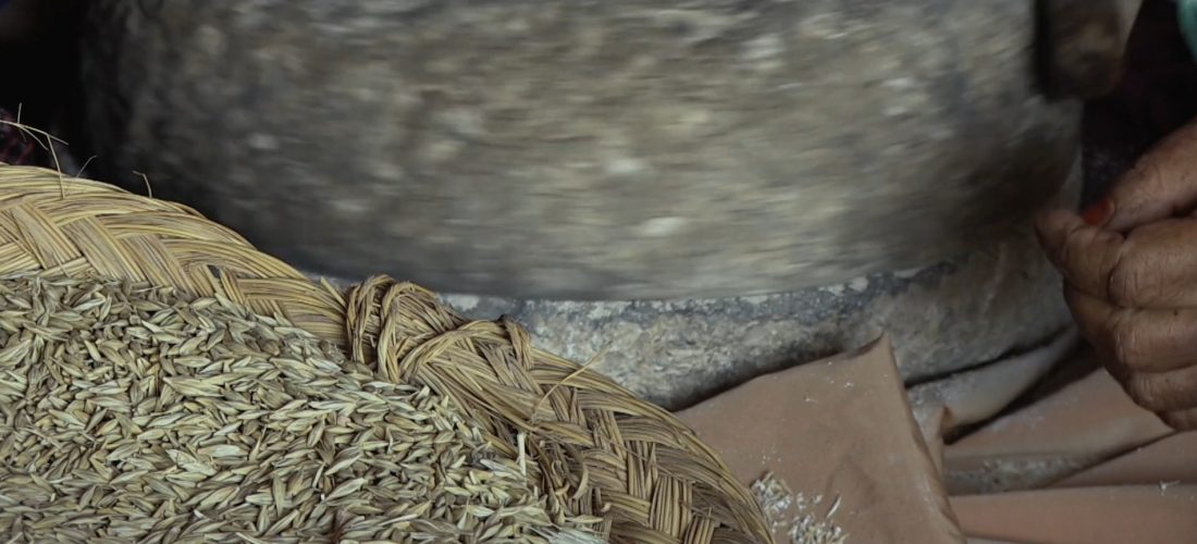 Couscous: Seeds of Dignity by Habib Ayeb