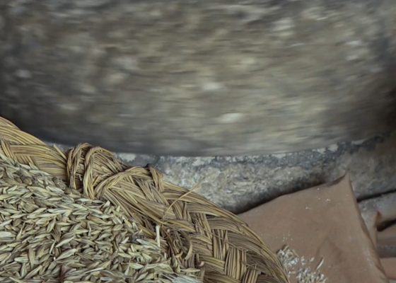 Couscous: Seeds of Dignity by Habib Ayeb