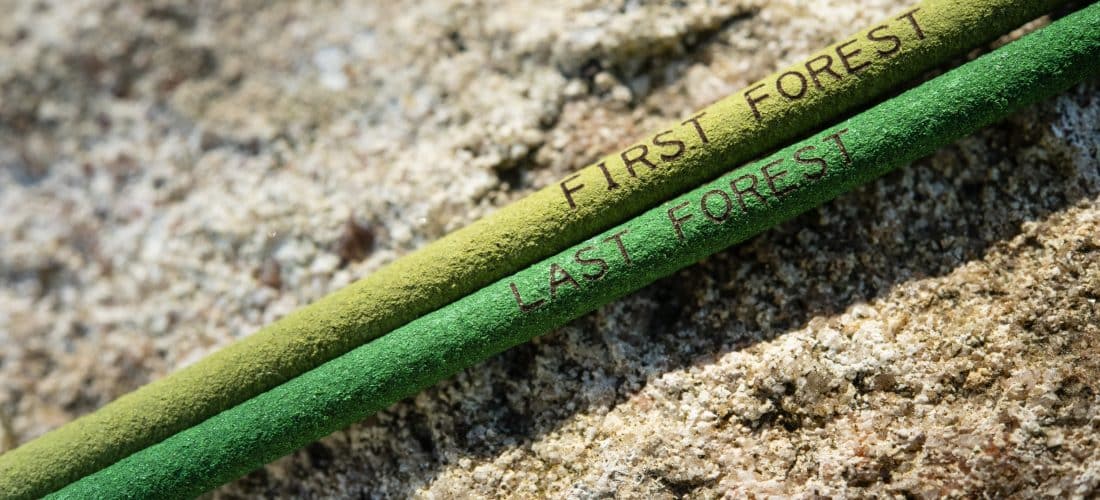 Ceremony: To Burn, Forest, Fire