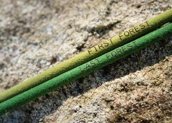 Ceremony: To Burn, Forest, Fire