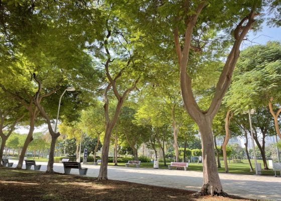 Walking Memorials: Endeavours of Reading Silence