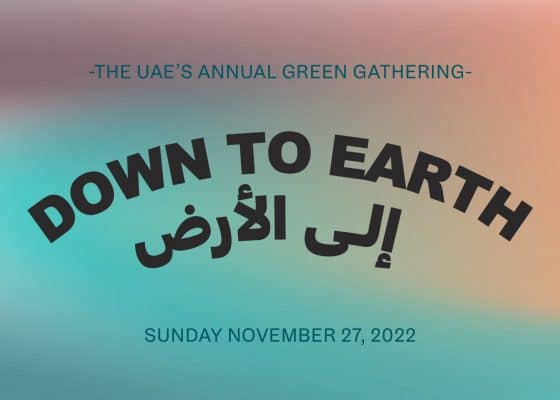 Small Talks at Down to Earth 2022 | More with less: Sustainable interactions with water