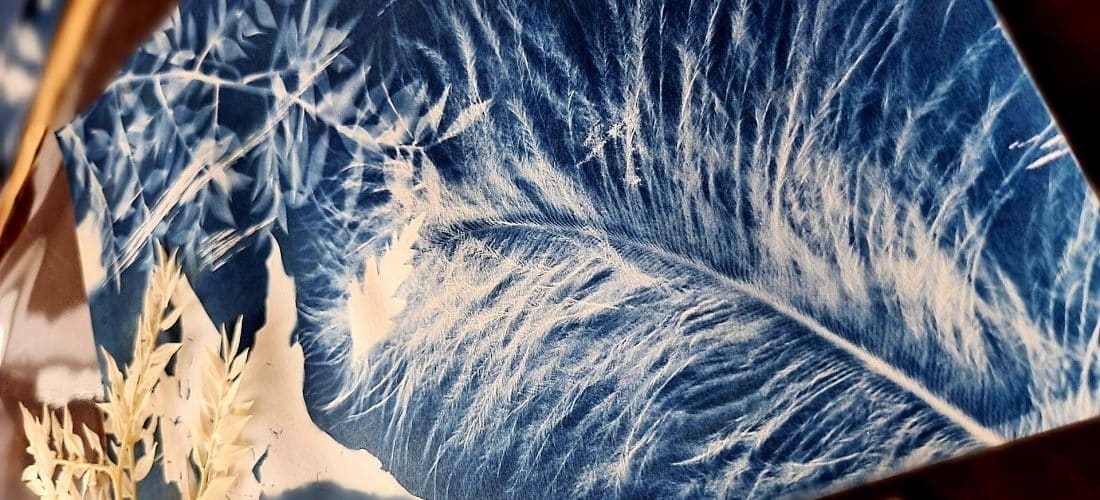 ورشة عمل |  سيانوتايب مطبوعات الشمس