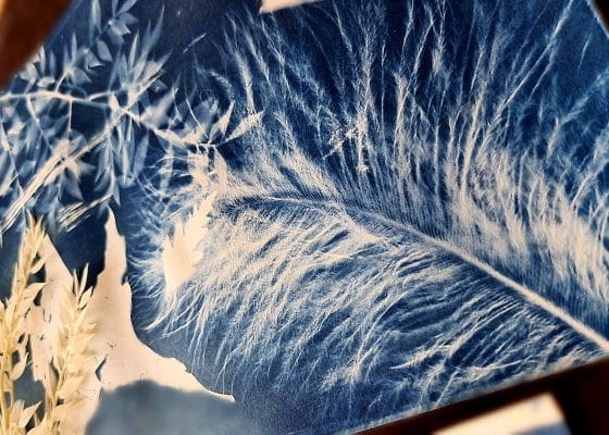 Family Workshop | Cyanotype Sun Prints