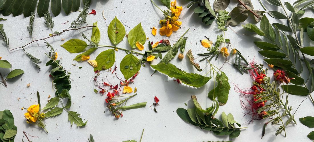 Family Workshop: Exploring Nature through Art with The Nature Bus