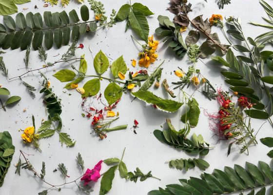 Family Workshop: Exploring Nature through Art with The Nature Bus