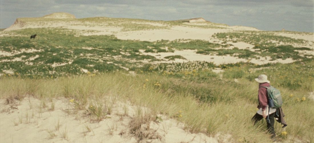 Film Screening: Geographies of Solitude