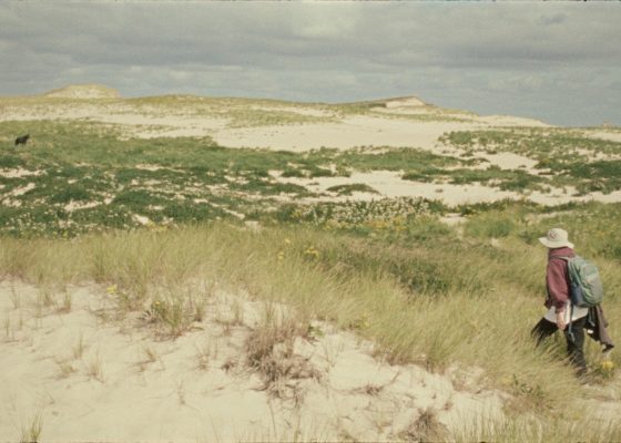 Film Screening: Geographies of Solitude