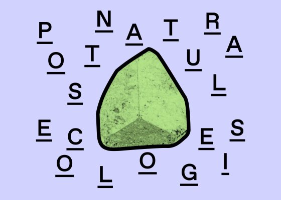 Online Seminar: Postnatural Ecologies