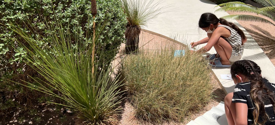 Family Workshop: Nature in Shadows by Sana Waqar