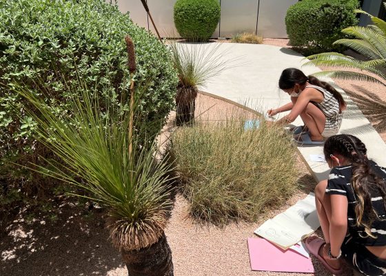 Family Workshop: Nature in Shadows by Sana Waqar