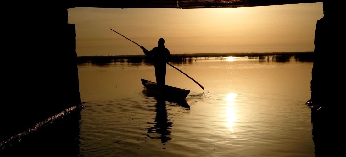 Night School 2024 Film Night with Hind Mezaina: Traversing Landscapes