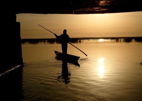 Night School 2024 Film Night with Hind Mezaina: Traversing Landscapes