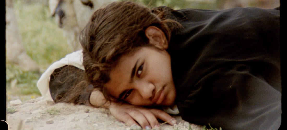 Film – Noor Abed: A Night We Held Between