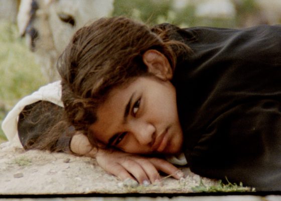 Film – Noor Abed: A Night We Held Between